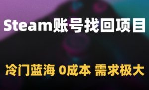 Steam账号找回项目,冷门蓝海,0成本,需求极大-聊项目