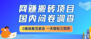 网创搬砖项目,国内问卷调查,小白轻松上手,一天三四张的也不难,干就完了【揭秘】-聊项目
