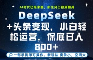 DeepSeek+头条变现,保姆级教学,小白轻松上手,日入8张+【揭秘】-聊项目