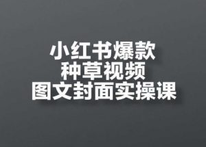 小红书爆款种草视频图文封面实操课,开店、选品、引流、变现全流程-聊项目