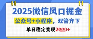 2025微信风口掘金,公众号+小程序双管齐下,单日稳定变现1k+【揭秘】-聊项目