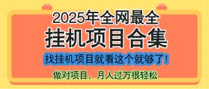 最新2025年挂机项目合集,一套课程全部讲完,找项目看这一个课程就够了!-聊项目