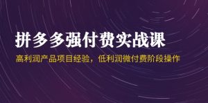 拼多多强付费实战课-44期,高利润产品项目经验,低利润微付费阶段操作-聊项目