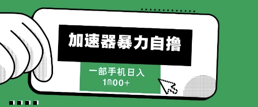 205新风口，加速器暴力自撸，单机日入1k+【揭秘】-聊项目