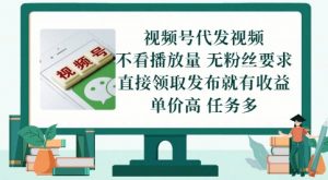 视频号代发视频,无需做视频,无需写文案,不看播放量,无粉丝要求,直接领取发布就有收益【揭秘】-聊项目