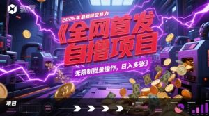 全网首发,2025年最新稳定暴力全自动自撸项目,无限制批量操作,日入多张【揭秘】-聊项目