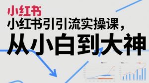 小红书引流实操课,从小白到大神-聊项目