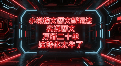 小说推文图文新玩法，实况图文，万播二十单，这转化太牛了！-聊项目