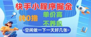 快手小程序掘金,纯0撸,单价高不养机 利用空闲时间做一做,一天好几张【揭秘】-聊项目