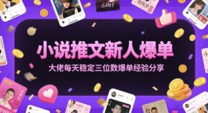 小说推文新人爆单大佬每天稳定三位数爆单经验分享-聊项目
