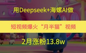 用Deepseek+海螺AI做短视频爆火“月半猫”视频,2月涨粉13.8w-聊项目