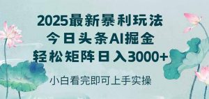 今日头条2025年最新暴利玩法，思路简单，复制粘贴，轻松实现矩阵日入3000+-聊项目
