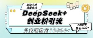DeepSeek+创业粉精准引流，全新分享课4.0玩法，AI矩阵日引300+，多种变现方式，稳定月入1W-聊项目