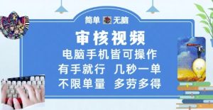审核视频,电脑手机皆可操作,有手就行,几秒一单,不限单量,多劳多得【揭秘】-聊项目