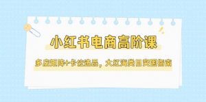 小红书电商高阶课，多店矩阵+卡位选品，大红海类目突围指南(更新5月)-聊项目