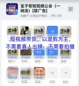 宝子哥头部团队短视频带货,以混剪为主,不需要真人出镜,不需要拍摄【更新】-聊项目