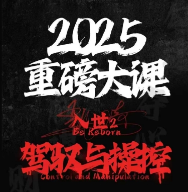 2025重磅大课，入世2，驾驭与控制-聊项目