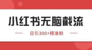 小红书截流同行客源，独家野路子获客玩法 日引200+暴力获客【揭秘】-聊项目