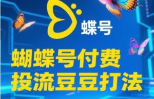2025蝴蝶号付费投流豆豆打法,助新手快速掌握付费流量撬动自然流的核心玩法-聊项目