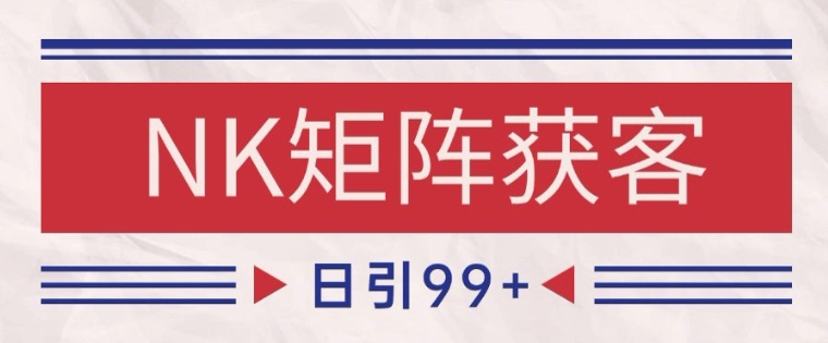 小红书某音NK赛道引流获客 自热矩阵日引200+【揭秘】-聊项目