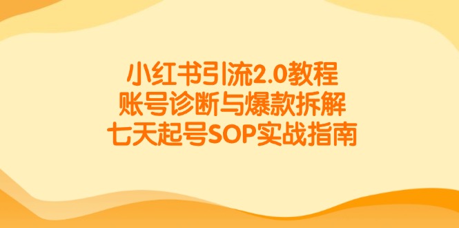 小红书引流2.0教程，账号诊断与爆款拆解，七天起号SOP实战指南-聊项目