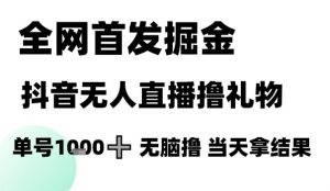 全网首发掘金抖音无人直播撸礼物,单号1k +无脑撸,当天拿结果【揭秘】-聊项目