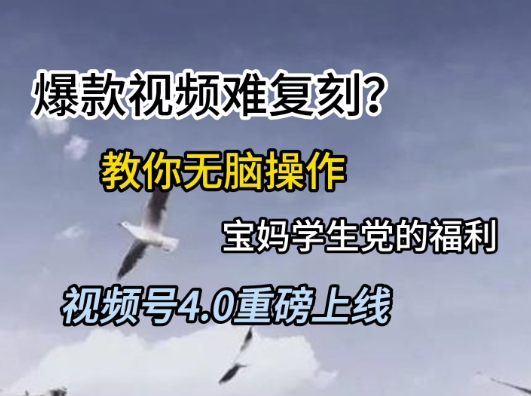 视频号4.0重磅上线，爆款视频难复刻？教你无脑操作宝妈学生党的福利【揭秘】-聊项目