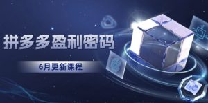 拼多多盈利密码:从烧钱推广到印钞模型,底层逻辑重构指南(6月更新-聊项目