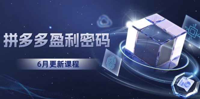 拼多多盈利密码：从烧钱推广到印钞模型，底层逻辑重构指南(6月更新-聊项目