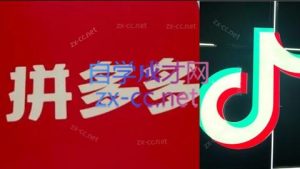 老陶电商·拼多多+抖音小店无货源开店-聊项目