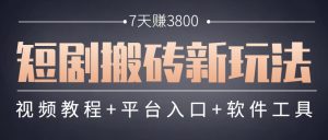 短剧搬砖新玩法,软件批量二创剪辑,7天赚了3800,赶紧做起来【附软件】-聊项目