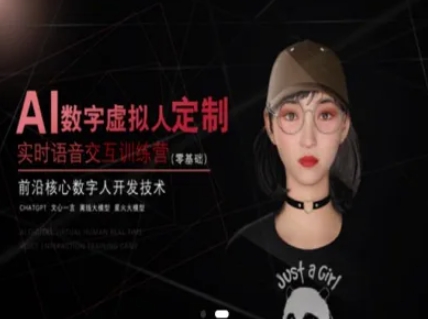 AI数字虚拟人定制，实时语音交互训练营(零基础)，前沿核心数字人开发技术-聊项目