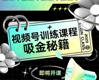 如何做好视频号，视频号训练课程，吸金秘籍-聊项目