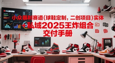 小众暴利赛道(球鞋定制，二创项目)实体+私域2025王炸组合  交付手册-聊项目