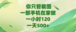 你只管截图,一部手机在家做,一小时120,-天500+-聊项目