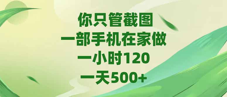 你只管截图，一部手机在家做，一小时120，-天500+-聊项目