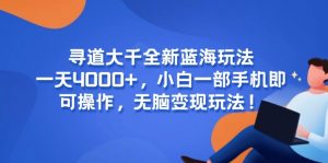 寻道大千全新蓝海玩法,一天4000+,小白一部手机即可操作,无脑变现玩法!-聊项目