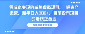 零成本变现的咸鱼虚拟项目, 轻资产运营,新手日入3张+,目前没有项目的老铁正合适-聊项目