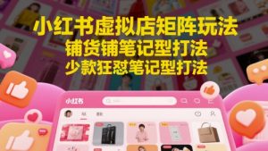 小红书虚拟店矩阵玩法,铺货铺笔记型打法,少款狂怼笔记型打法(更新)-聊项目