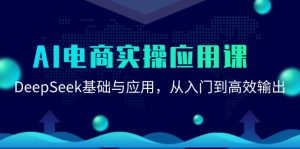 AI电商实操应用课:DeepSeek基础与应用,从入门到高效输出-聊项目