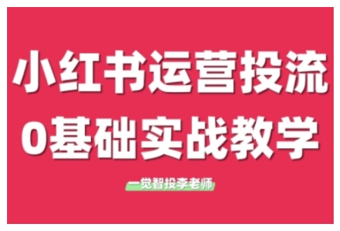 小红书运营投流，小红书广告投放从0到1的实战课，学完即可开始投放(更新)-聊项目
