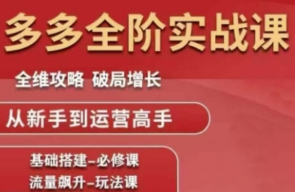 拼多多全阶实战课程，全维攻略，破局增长，从新手到运营高手-聊项目