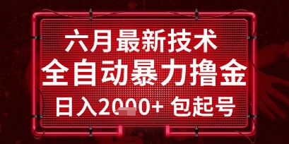 六月最新技术全自动暴力撸金，稳定日入2k+包起号，长期稳定【揭秘】-聊项目