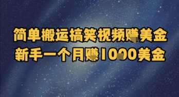 简单搬运搞笑视频挣美金，新手一个月入1k美金-聊项目
