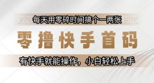零撸快手首码,每天用零碎时间搞个一两张,有快手就能操作小白轻松上手【揭秘】-聊项目