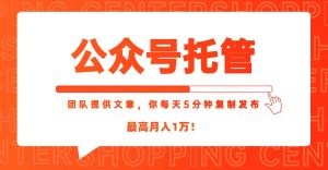【公众号托管 】我提供文章，你每天５分钟复制发布，最高月入1W-聊项目