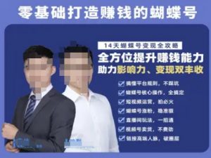 蝴蝶号专栏-视频号运营教程,零基础打造挣钱的蝴蝶号,14天蝴蝶号变现全攻略-聊项目