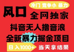 25年6月高爆抖音无人直播最新撸音浪掘金项目,解放双手小白可做,无脑日入1k+,门槛低【揭秘】-聊项目