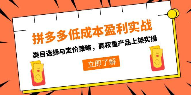 拼多多低成本盈利实战，类目选择与定价策略，高权重产品上架实操-聊项目