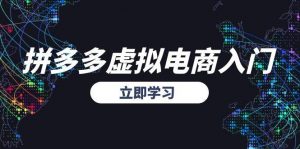 拼多多虚拟电商入门,精准选品方法论,无货源模式起盘技巧-聊项目